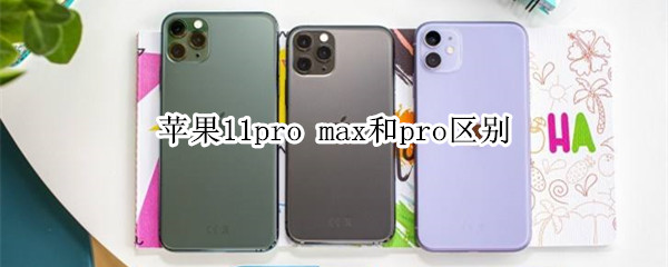 苹果11pro max和pro区别