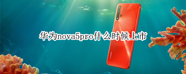 华为nova5pro什么时候上市