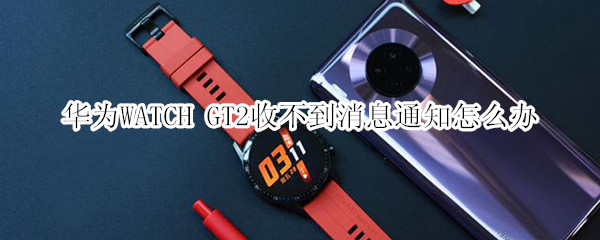 华为WATCH GT2收不到消息通知怎么办