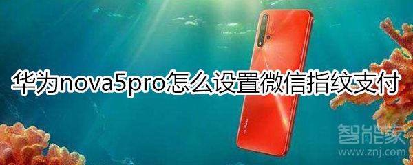 华为nova5pro怎么设置微信指纹支付