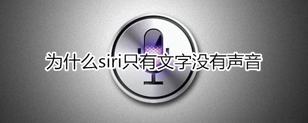 为什么siri没声音