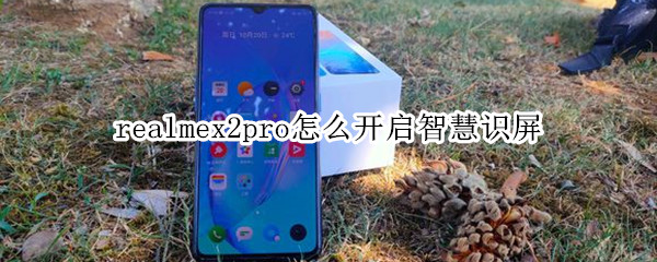 realmex2pro怎么开启智慧识屏