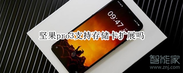 坚果pro3支持存储卡扩展吗