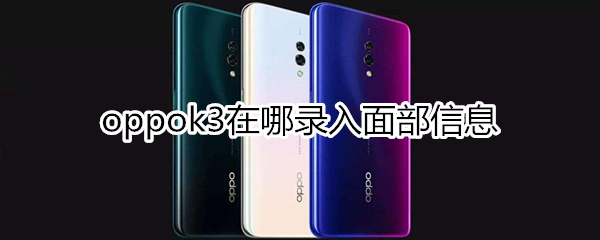 oppok3在哪录入面部信息