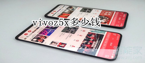 vivoz5x多少钱