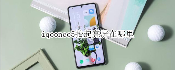 iqooneo5抬起亮屏在哪里