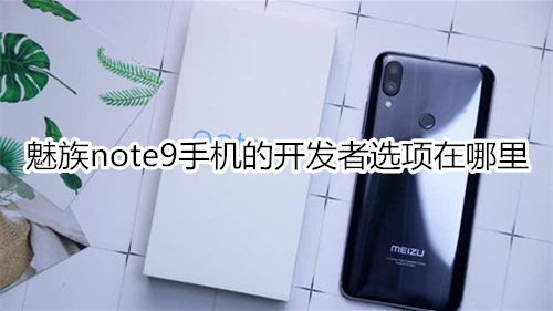 魅族note9手机的开发者选项在哪里