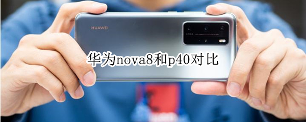 华为nova8和p40对比