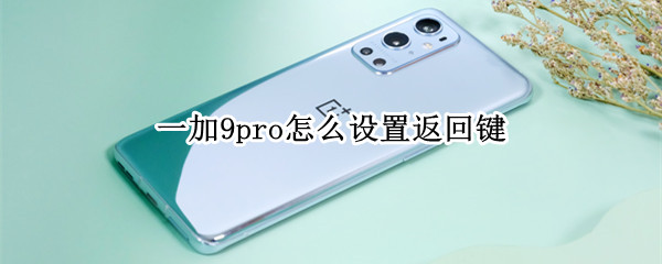 一加9pro怎么设置返回键