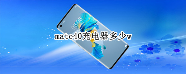 mate40充电器多少w