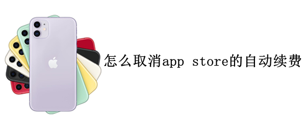 怎么取消app store的自动续费