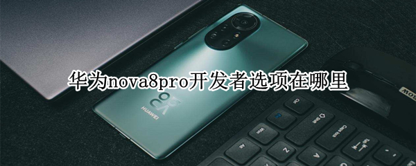 华为nova8pro开发者选项在哪里