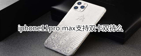 iphone11pro max支持双卡双待么