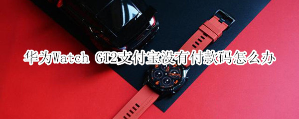 华为Watch GT2支付宝没有付款码怎么办