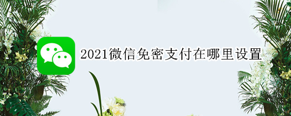 2021微信免密支付在哪里设置