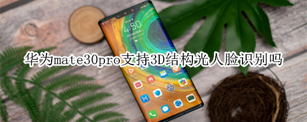 华为mate30pro支持3D结构光人脸识别吗