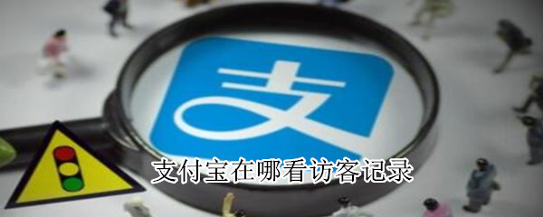 支付宝在哪看访客记录