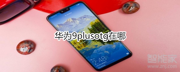 华为9plusotg在哪