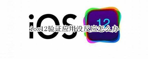 ios12验证应用没反应怎么办