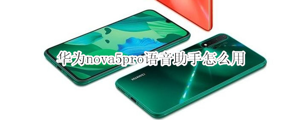 华为nova5pro语音助手怎么用