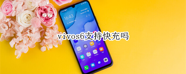 vivos6支持快充吗