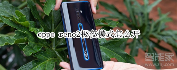 oppo  reno2极夜模式怎么开