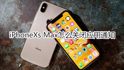 iPhoneXs Max怎么关闭应用通知