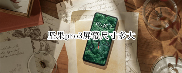 坚果pro3屏幕尺寸多大