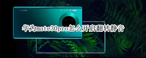 华为mate30pro怎么开启翻转静音