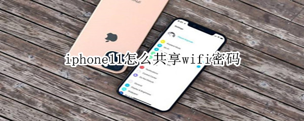 iphone11怎么共享wifi密码