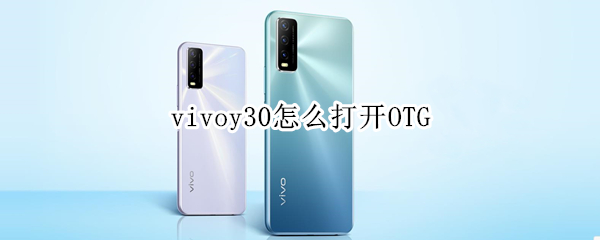 vivoy30怎么打开OTG