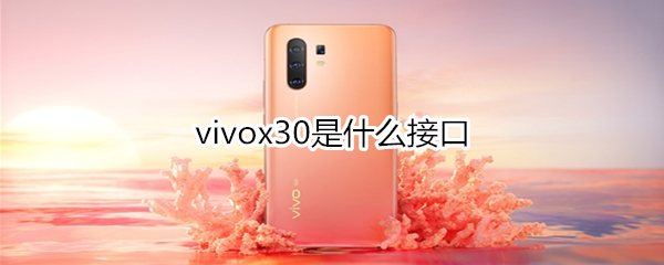 vivox30是什么接口