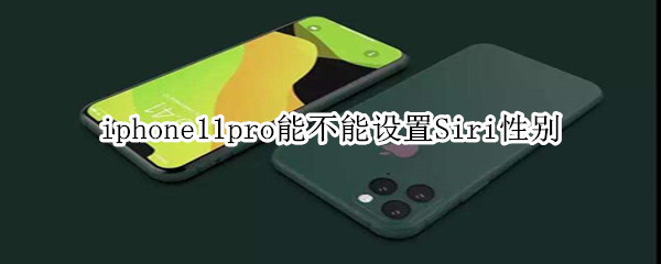 iphone11pro能不能设置Siri性别