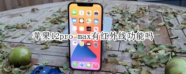 苹果12pro max有红外线功能吗