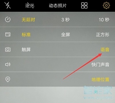 vivoz5怎么开启语言拍照