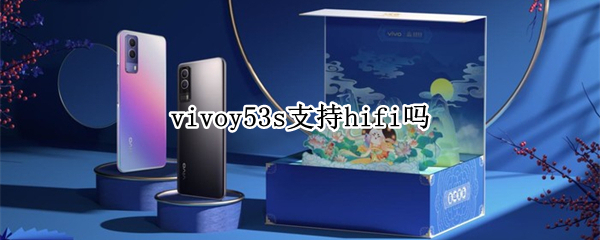 vivoy53s支持hifi吗