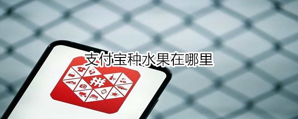 支付宝种水果在哪里