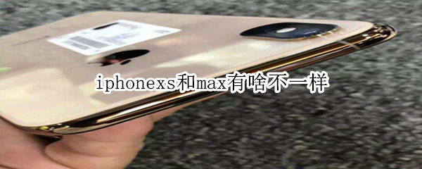 iphonexs和max有啥不一样