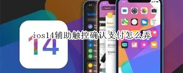 ios14辅助触控确认支付怎么弄