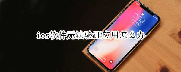 ios软件无法验证应用怎么办