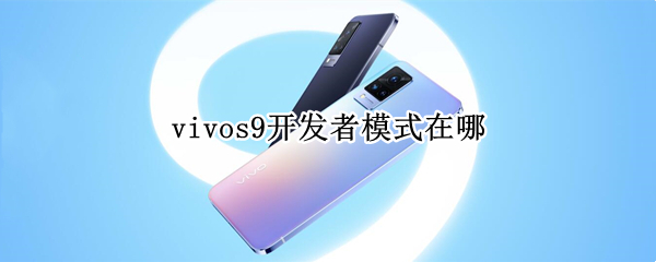 vivos9开发者模式在哪