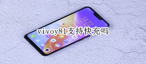 vivoy81支持快充吗