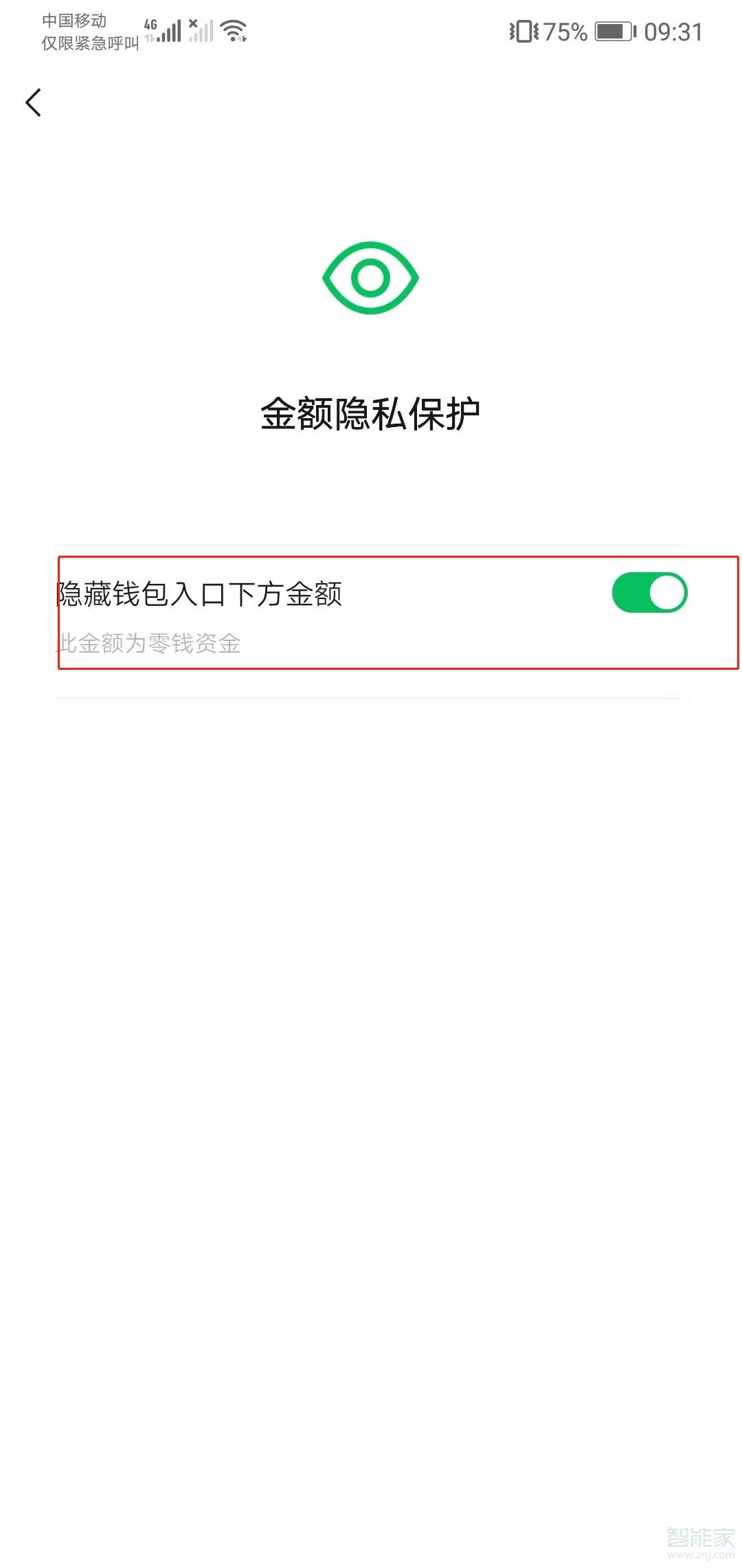 不想让人看零钱通金额