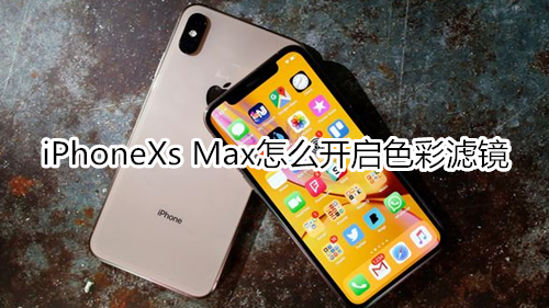 iPhoneXs Max怎么开启色彩滤镜