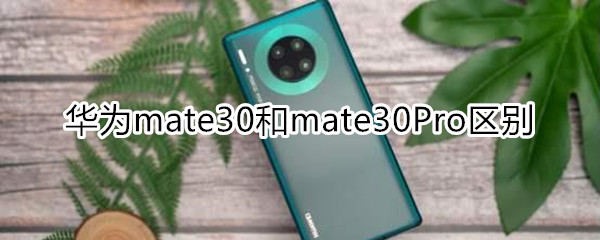 mate30和mate30Pro区别