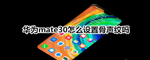 华为mate30怎么设置骨声纹吗