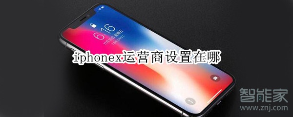 iphonex运营商设置在哪