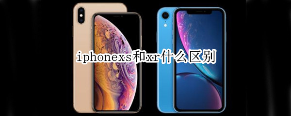 iphonexs和xr什么区别