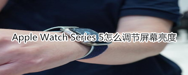 Apple Watch Series 5怎么调节屏幕亮度