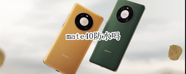 mate40防水吗